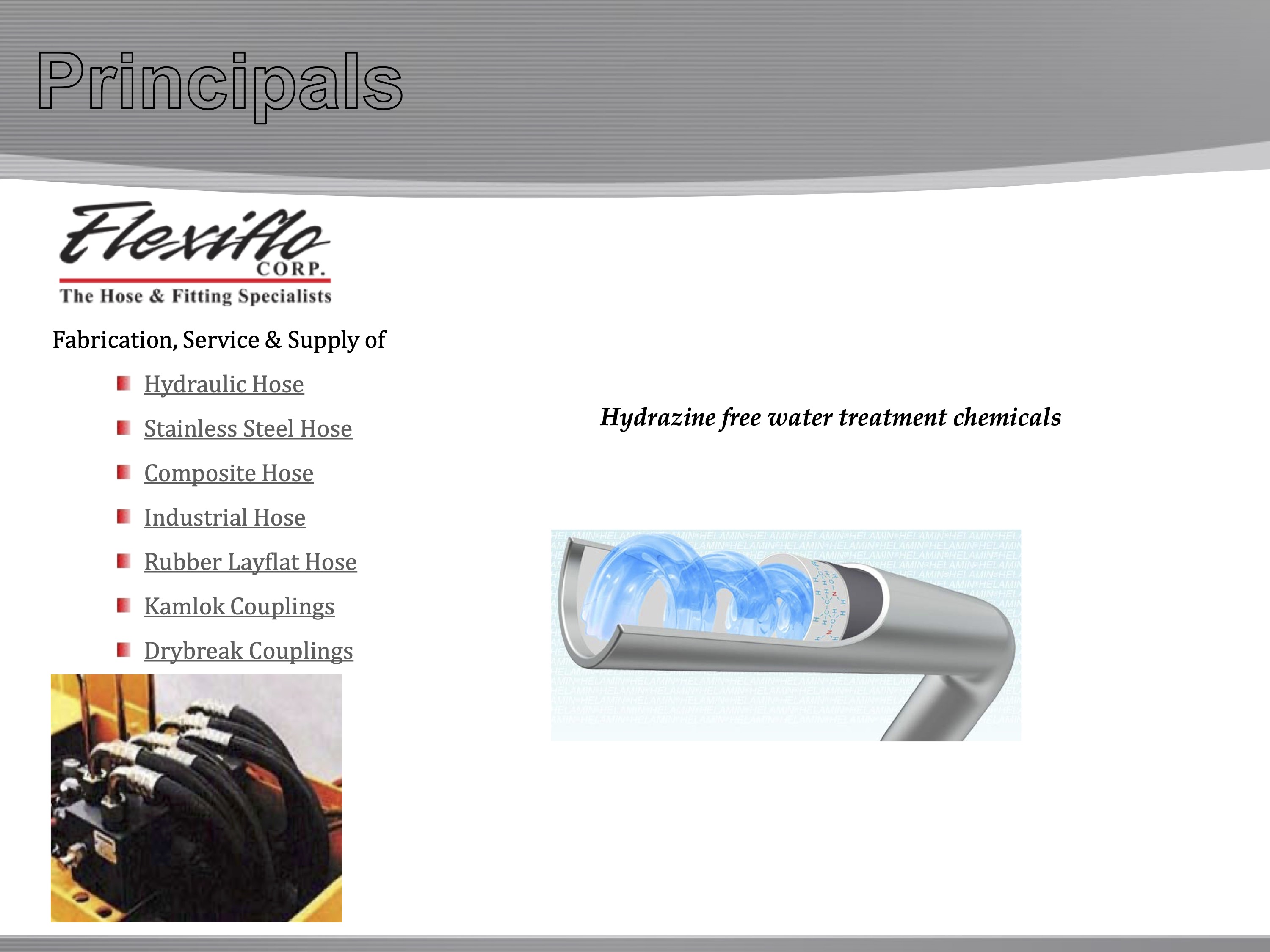 Description of Image